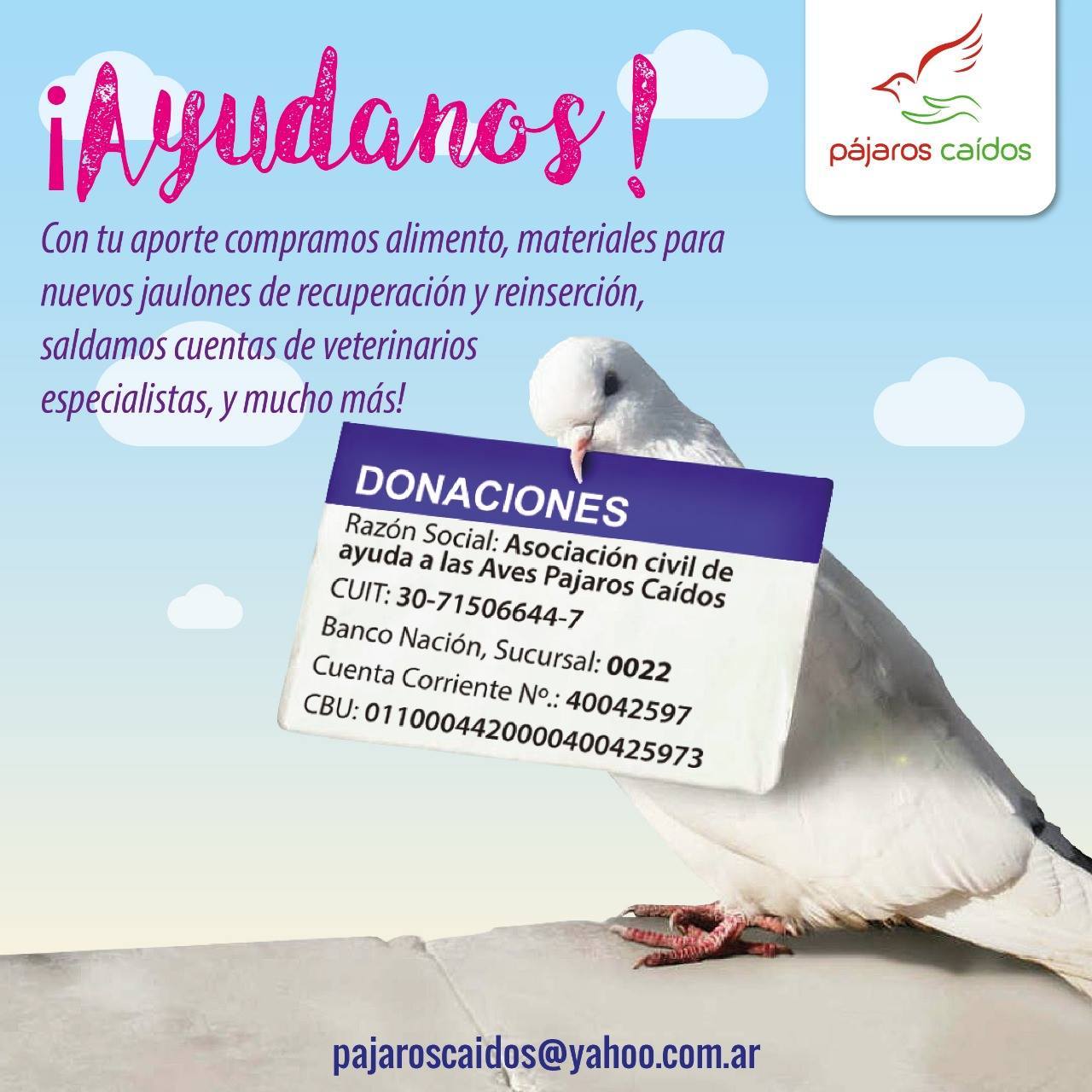 Campaña de donaciones para alimento, jaulones y veterinarios